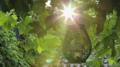 Sun flare spinning basket Stock Footage 142589690