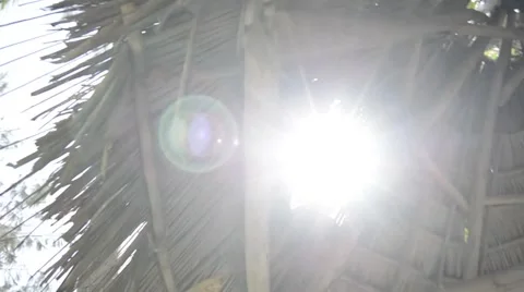 Sun flare through a palm shade Stock Footage 51481241