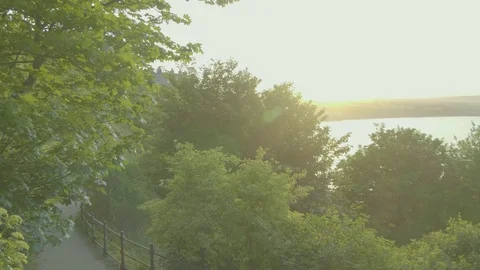 Sun Flare Tree Leaves Pan Down Towards the Ocean Sea Beach Golden Hour Stock Footage