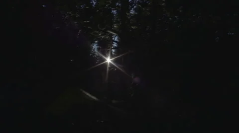 Sun flare in wood 스톡 동영상 51478888