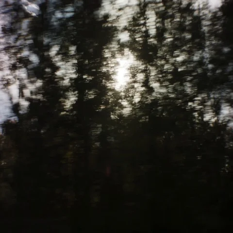 The sun flares behind the trees as the camera passes by on a beautiful fall day. Видео 69293612