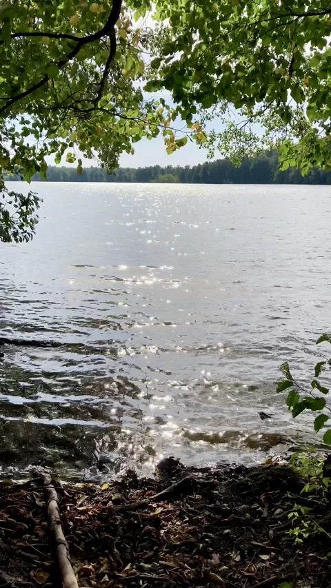 Sun flares on a water surface Stock Footage 139772485