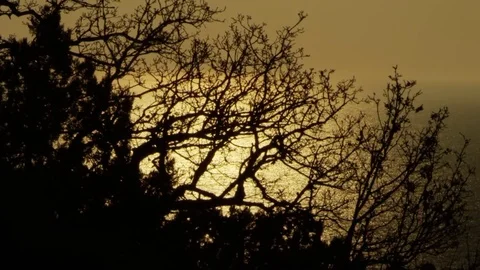 The sun flashes through the clouds at the summer Stock Footage 84809412