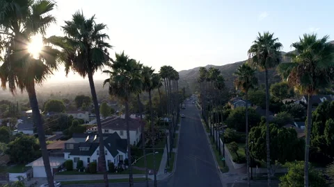 Sun flickering through palm trees in streets of Los Angeles Stock Footage 138078019