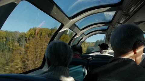 The Sun flickers on Passengers in the Train Stock Footage 92649406