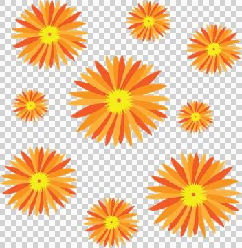 Sun Flower Stock Illustration