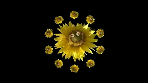 Sun Flower Kid Stock Footage 79814369
