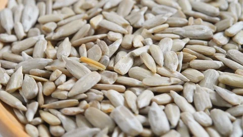 Sun Flower seed rotating Video stock 91977281