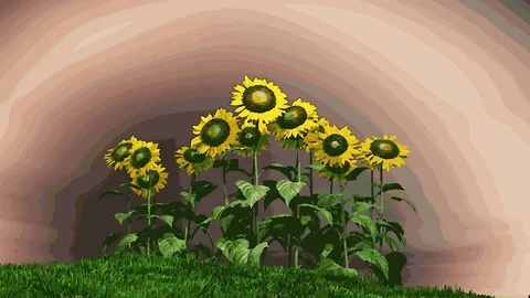 Sun flowers cartoon Stock Footage 99561546
