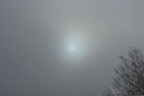 The sun in the fog. Stock Photos