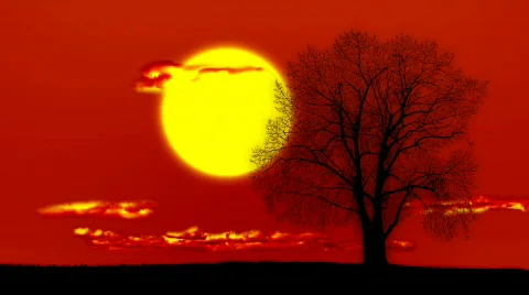 Sun Stock Footage 584210