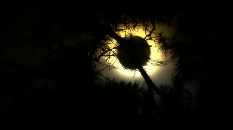 Sun Stock Footage 753027