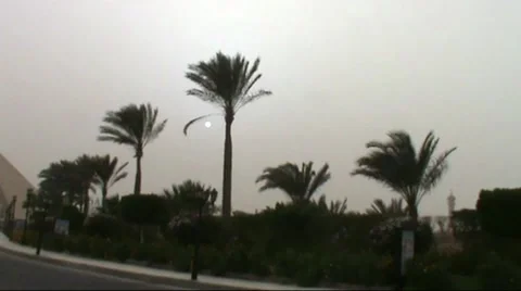 Sun Stock-Footage 1794114