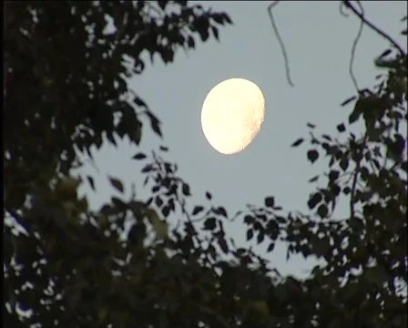 Sun Stock Footage 5173604