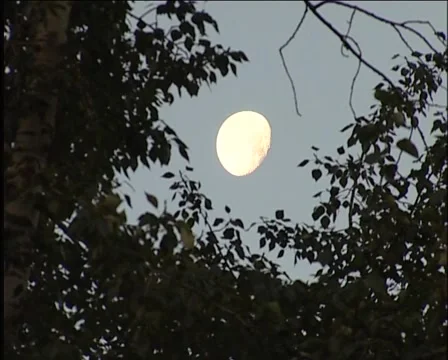 Sun Video stock 5173720