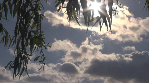 Sun Stock-Footage 8511067