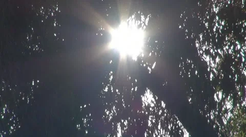 Sun Vídeos de archivo 8511207