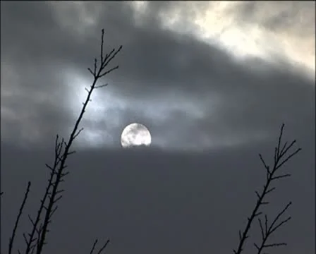 Sun Stock Footage 8935487