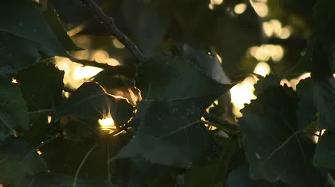 Sun Vídeos de archivo 10855575