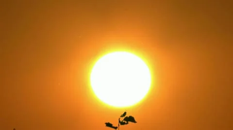 Sun Stock Footage 12050519