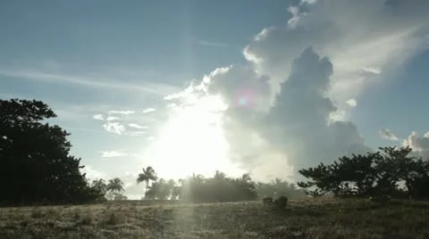 Sun Stock Footage 12366915