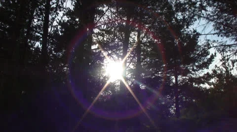 Sun Stock Footage 25730161