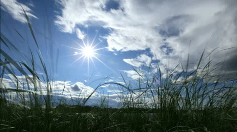 Sun Stock Footage 25844630