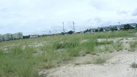 Sun Stock Footage 96075678