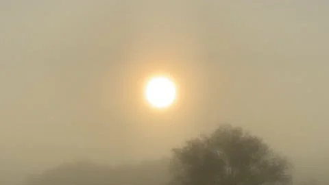 Sun Stock Footage 155367184