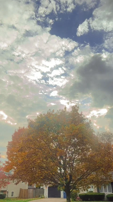 The sun Stock Footage 279523719