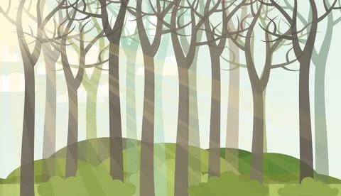 Sun in the forest Stock Photos