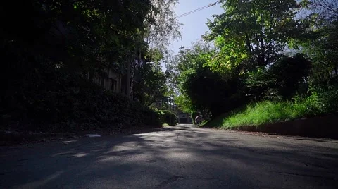 The sun gets through the branches. The autumn. Slider shot. Stock Footage 68142098