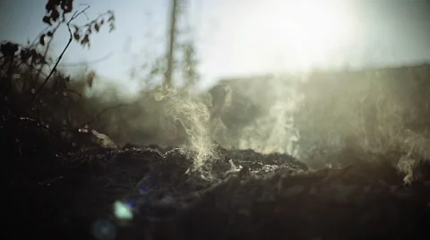 Sun gets through the smoke. On a battlefield. Slow motion. Slider shot. Stock Footage 68329729