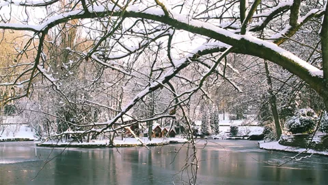 Sun glare effects and closeup trees in a city park  after snowfall Stock Footage 90281150