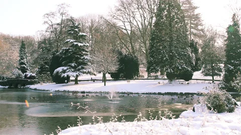 Sun glare effects and closeup trees in a city park  after snowfall Stock Footage 90283318