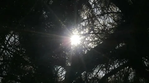 Sun glare. Stock Footage 7138309