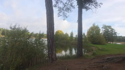 Sun Glare on Forest Lake Stock Footage 347745563