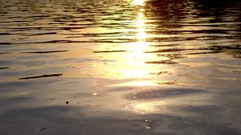 Sun glare, gloss, blur Stock Footage 274850780