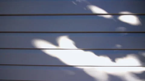 Sun glare from leaves on the outer wall of the house Stock Footage 138903018