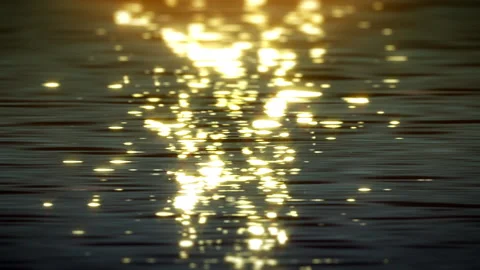 Sun glare reflected in water surface Stock Footage 190558156