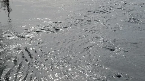 Sun glare on the river or lake water. Rapid river flow. Stock Footage 128627258