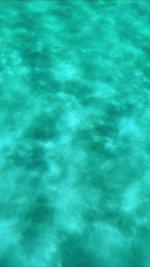 Sun glare on sand seabed with small fish over bottom, Slow motion Stock Footage 255112257