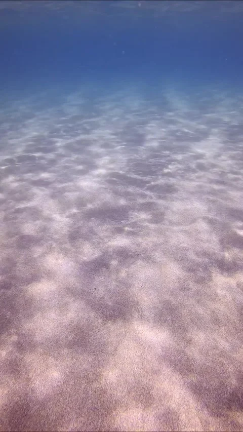 Sun glare on sandy seabed, camera moving forwards above sand bottom on blue Stock Footage 255110287