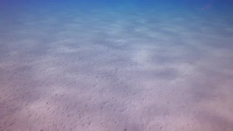 Sun glare on sandy seabed, camera moving forwards above sand bottom on blue Stock Footage 255113732