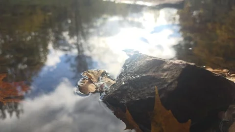 Sun Glare Shining Brightly Above A Dark Rock In A Calm River Stock Footage 348782866