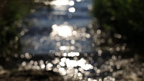 Sun glare on the surface of the forest lake. in the blur of bokeh. Stock Footage 93407330