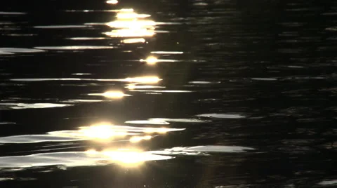 Sun glare on the surface of the water Stock Footage 54896332