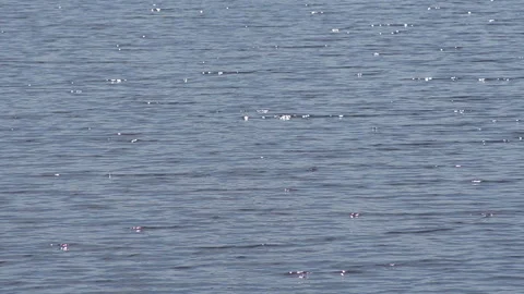 Sun glare on the surface of the water Stock Footage 210015824