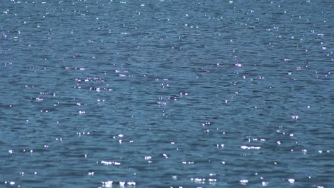 Sun glare on the surface of the water Stock Footage 315623855