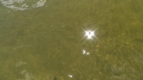 Sun glare on the water Stock Footage 45882634